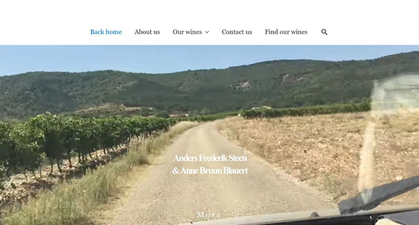 Anders Frederik Steen