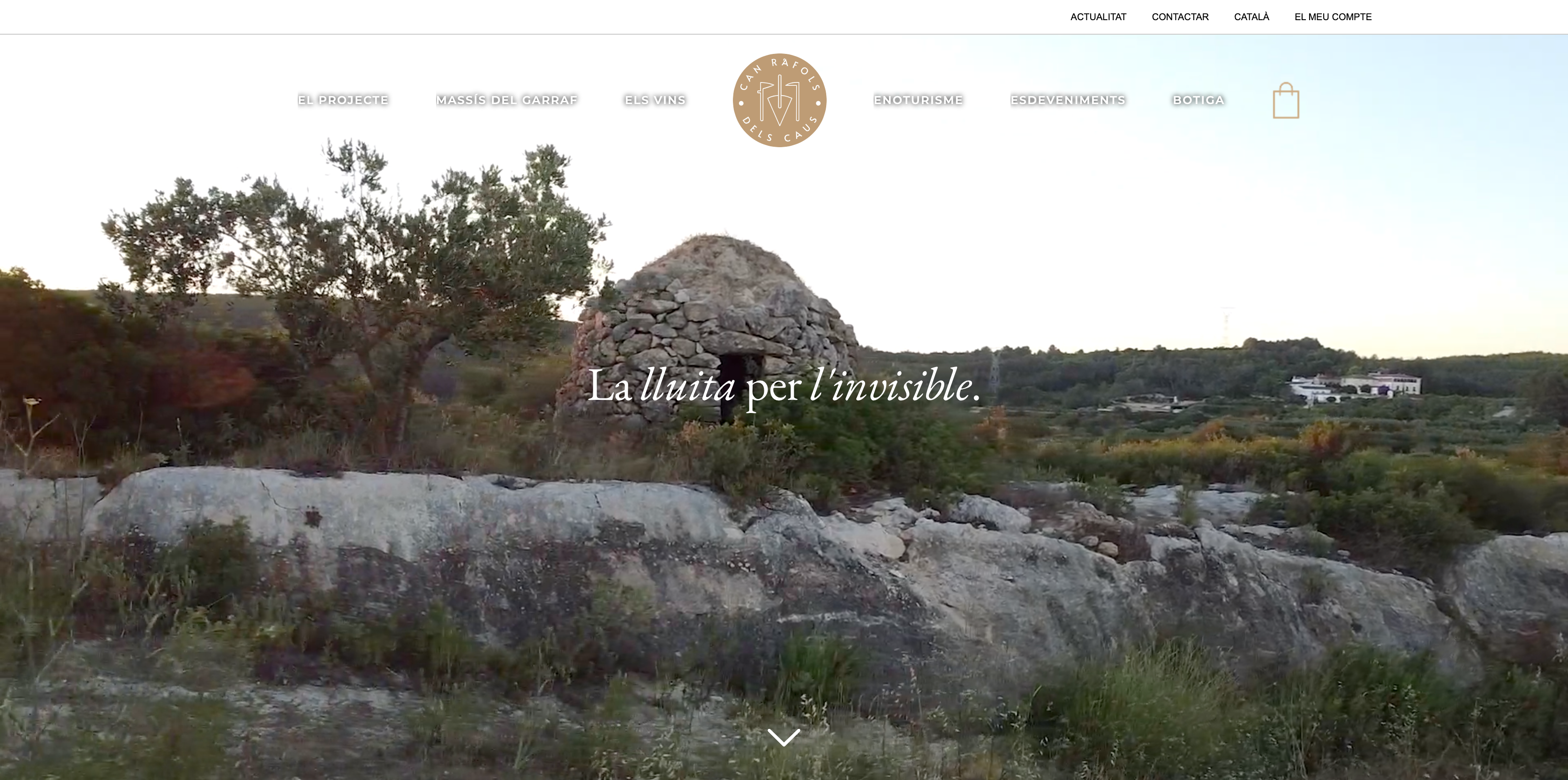 Can Ràfols dels Caus