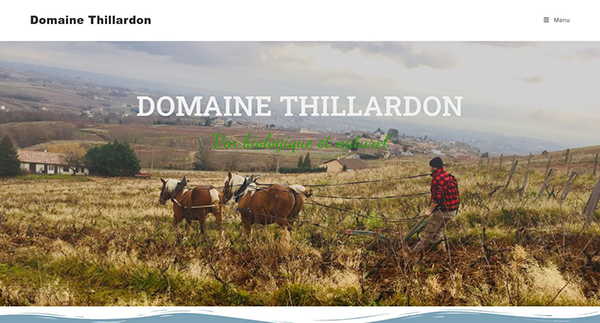 Domaine Thillardon