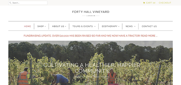 Forty Hall Vineyard