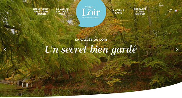 Les Vignes de L'Angevin (Robinot)