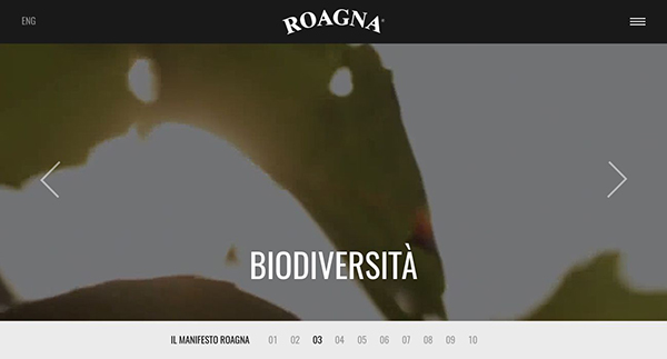 Roagna