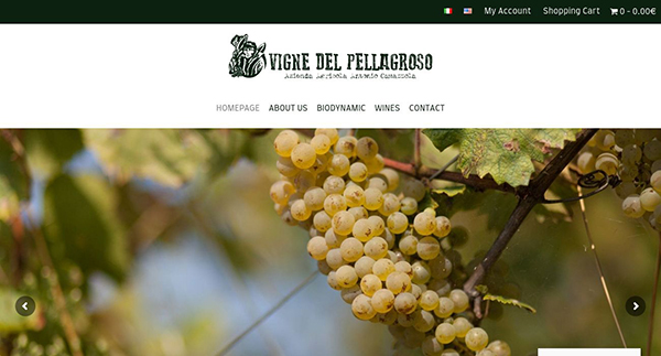 Vigne del Pellagroso