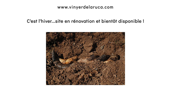 Vinyer de la Ruca